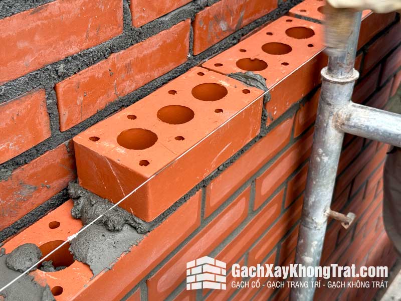 Gạch xây không trát 3 lỗ Viglacera Hạ Long