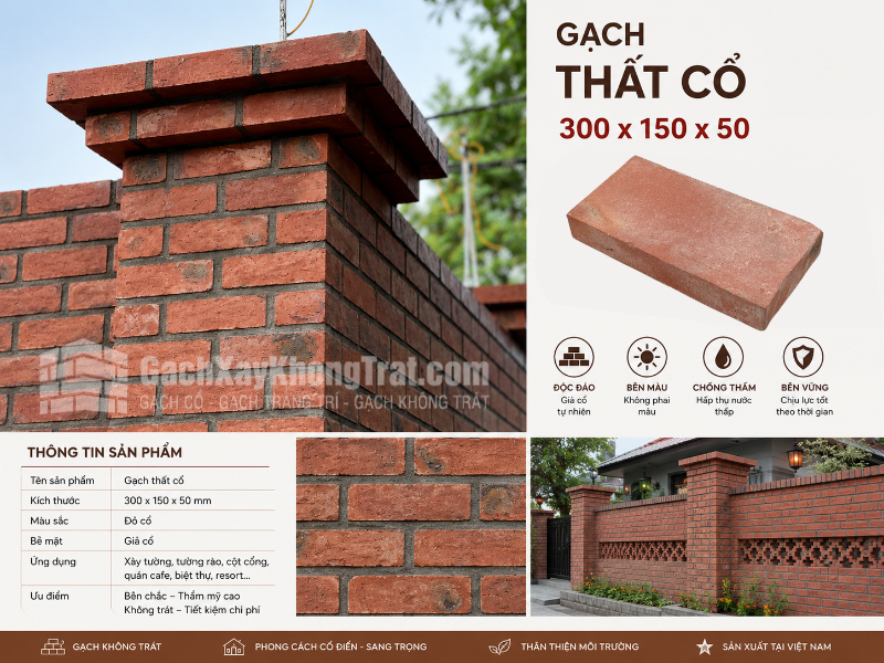 Gạch thất cổ 300x150x50