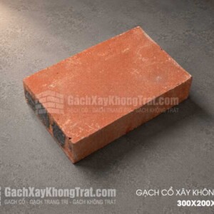 Gạch Cổ Xây Không Trát 300x200x70