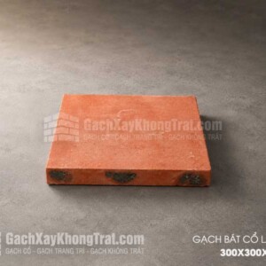 Gạch Bát Cổ Lát Sân 300x300x50