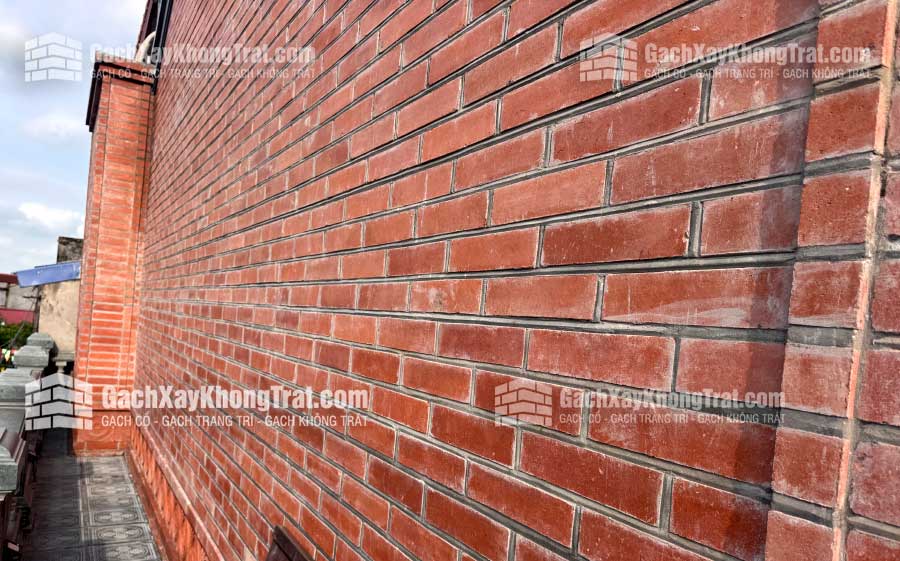 Gạch Xây Không Trát 210x110x60