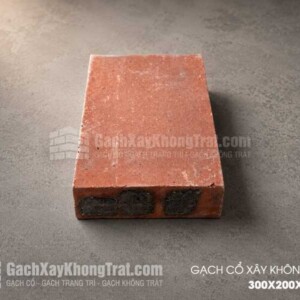 Gạch Cổ Xây Không Trát 300x200x70