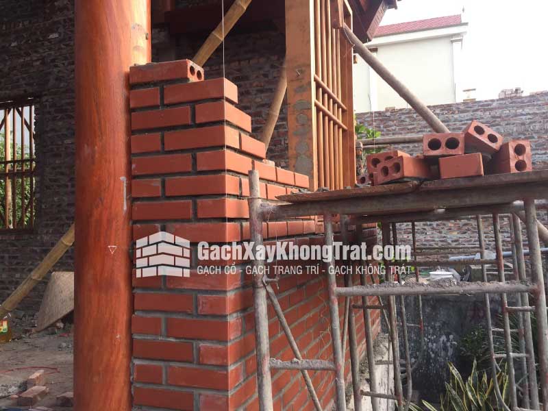 Gạch Không Trát 2 Lỗ Viglacera Hạ Long