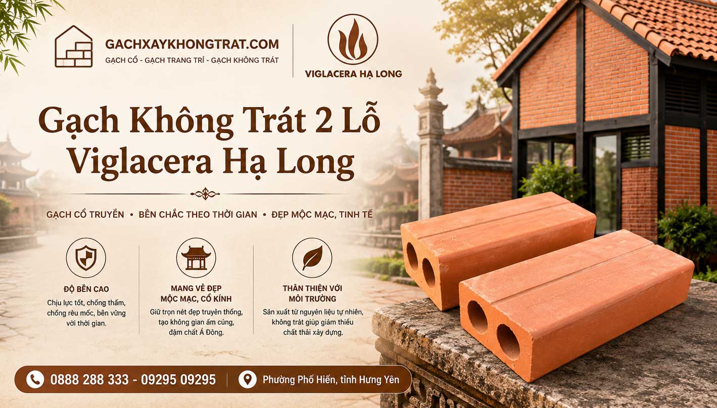 Gạch Không Trát 2 Lỗ Viglacera Hạ Long