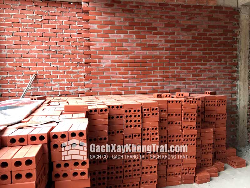 Gạch Không Trát 2 Lỗ Viglacera Hạ Long