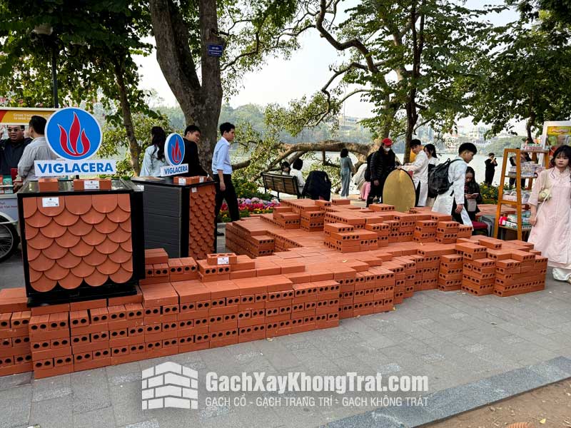 Gạch Không Trát 2 Lỗ Viglacera Hạ Long