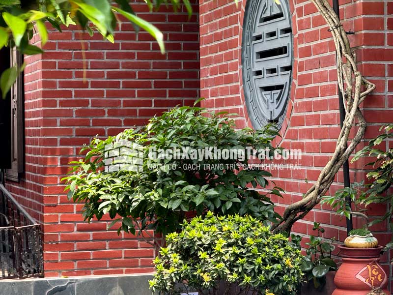 Gạch Không Trát 2 Lỗ Viglacera Hạ Long