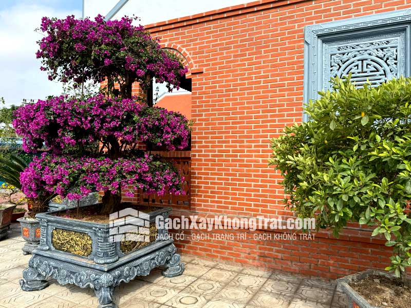 Gạch Không Trát 2 Lỗ Viglacera Hạ Long