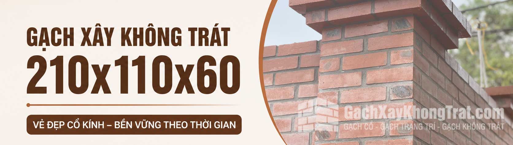 Gạch Xây Không Trát 210x110x60