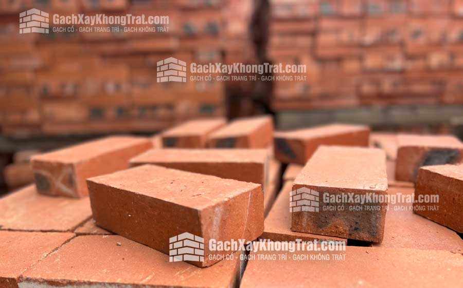 Gạch Xây Không Trát 210x110x60